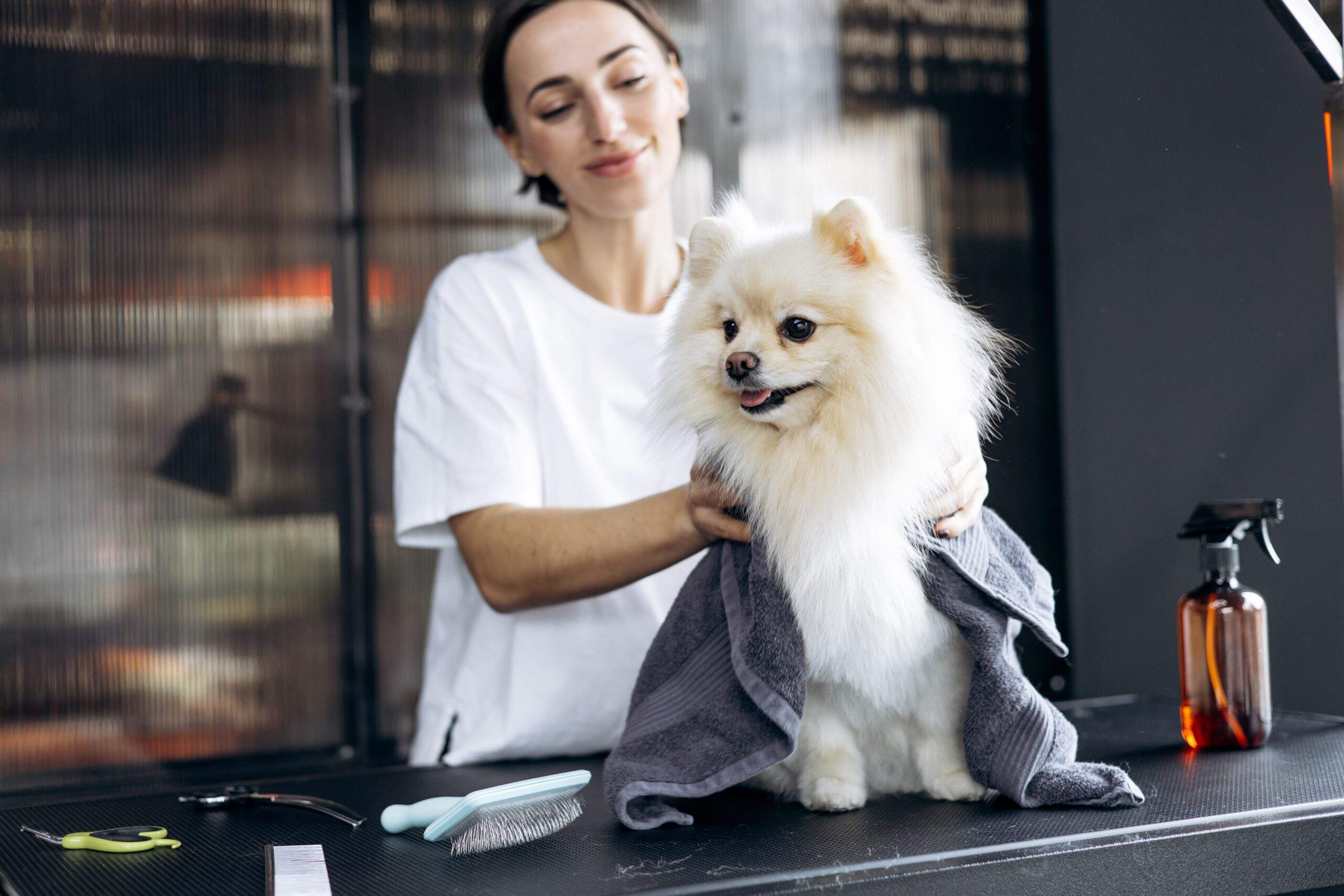 Animal Wellness